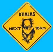 Large Roadsign Koala