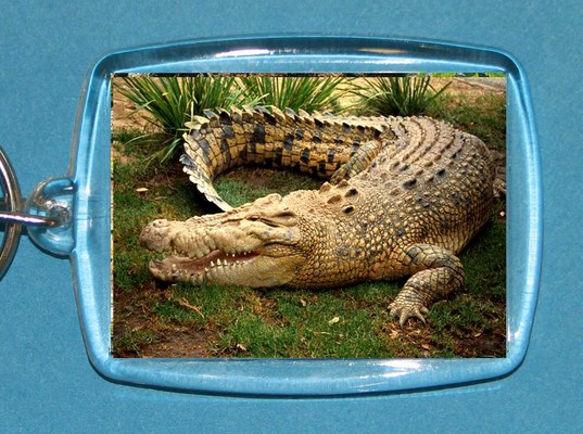 Keychain Acrylic Crocodile