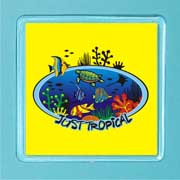 Acrylic Magnet Tropical Reef