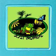 Acrylic Magnet Tropical Rainforest