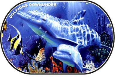 Dolphins Downunder Placemat