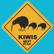 Suction Roadsign Kiwi