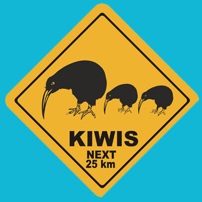 Suction Roadsign Kiwi