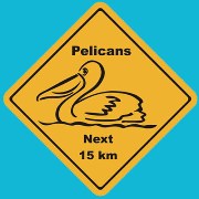 Suction Roadsign Pelican