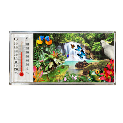 3D Thermometer Magnet Rainforest