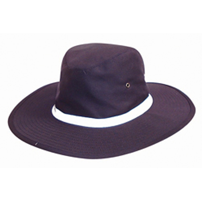 HAT1