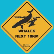 Suction Roadsign Whales