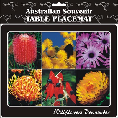 Cork Placemat Wildflowers Downunder