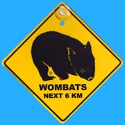 Suction Roadsign Wombat