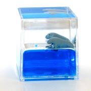 Paperweight Cube Dugong
