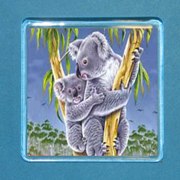 Acrylic Magnet Koala